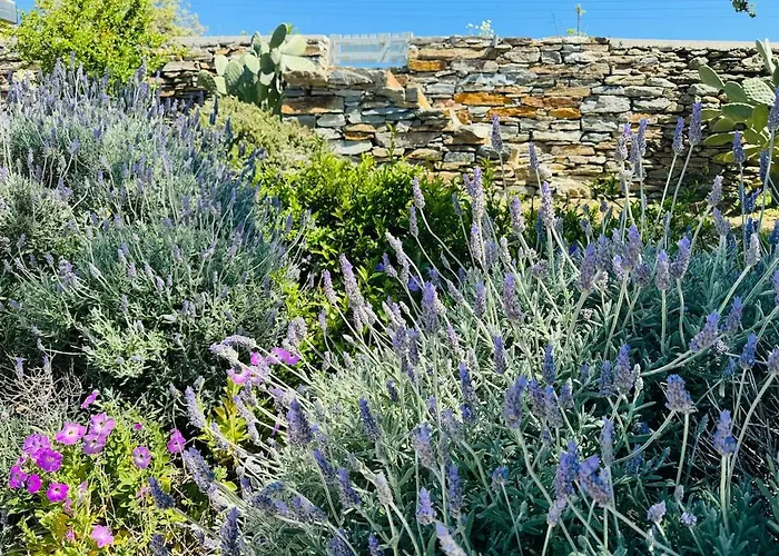 Calliste's House * Ioulis