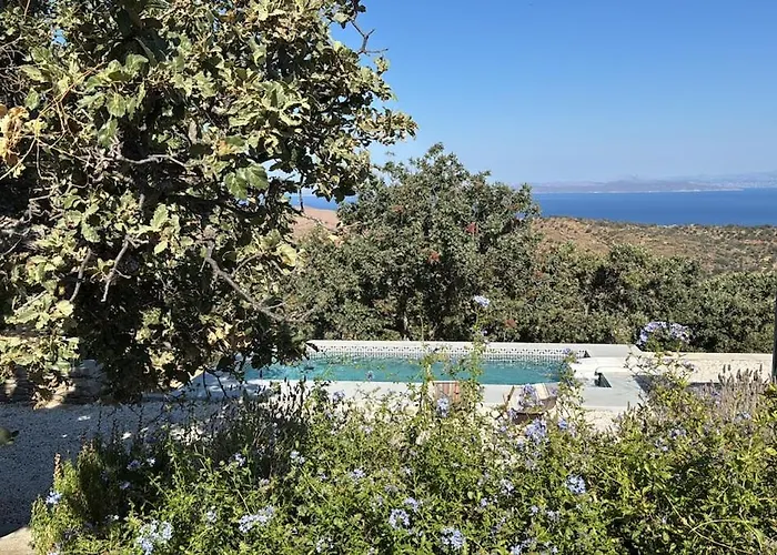 Calliste's House فيلة