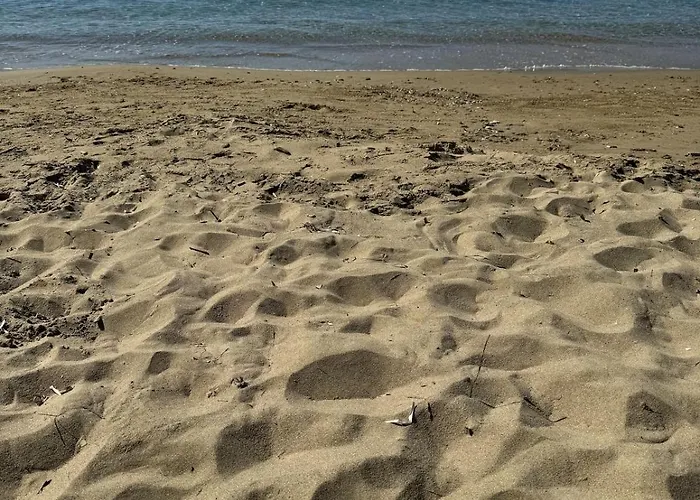 Calliste's House فيلة